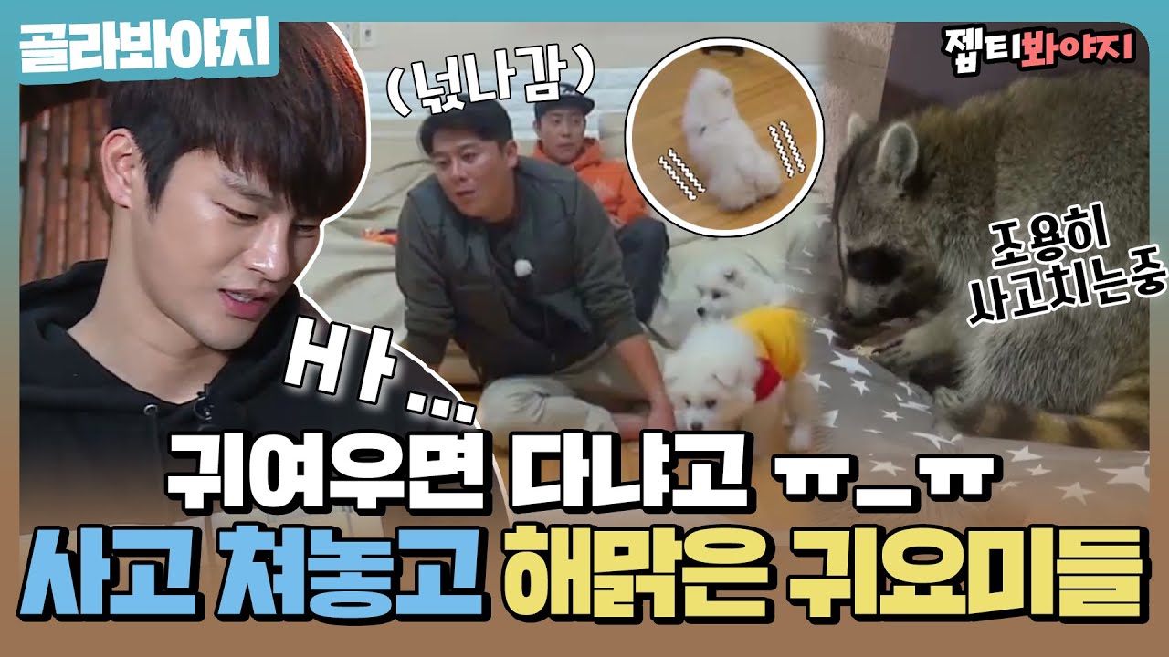 [골라봐야지] ＂ 너네 진짜 징하다ㅠㅠ ＂ 사고 쳐놓고 마리 아빠들 혼을 쏙 빼놓는 귀요미들 총집합↗｜마리와 나｜JTBC 151223 방송 외
