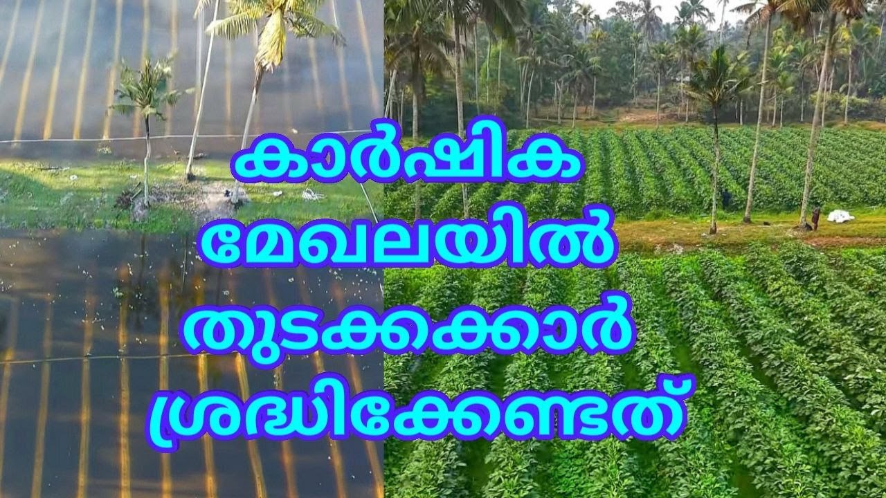 കാർഷിക മേഖലയിൽ തുടക്കക്കാർ ശ്രദ്ധിക്കേണ്ടത്
