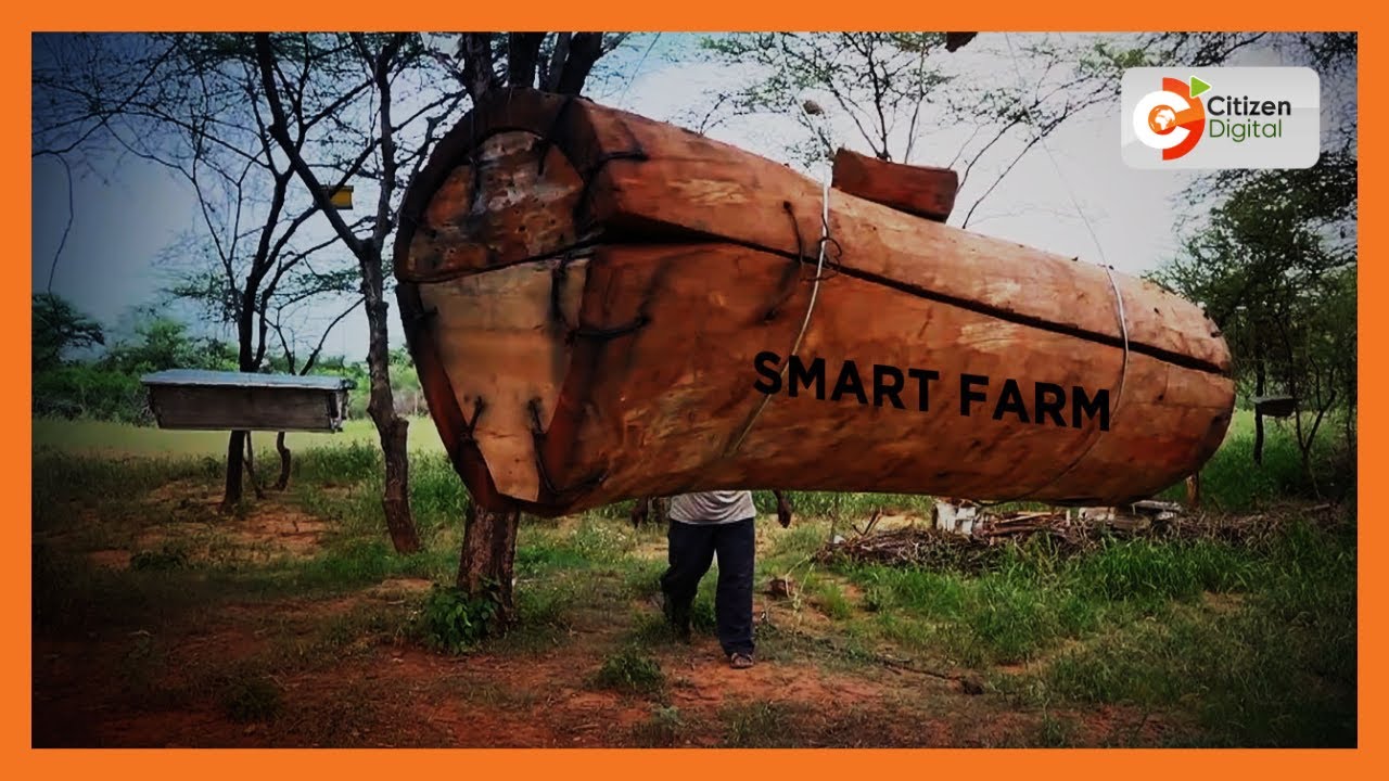 Smart Farm - Bee Keeping in Baringo County