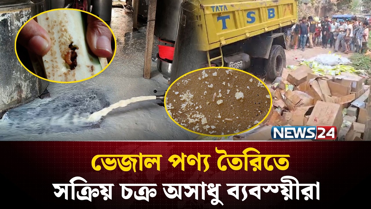বেগুনি ও গুড়ে কিলবিল করছে পোকা! কি খাবে মানুষ,  সব কিছুতেই কি ভেজাল..? NEWS24 Special