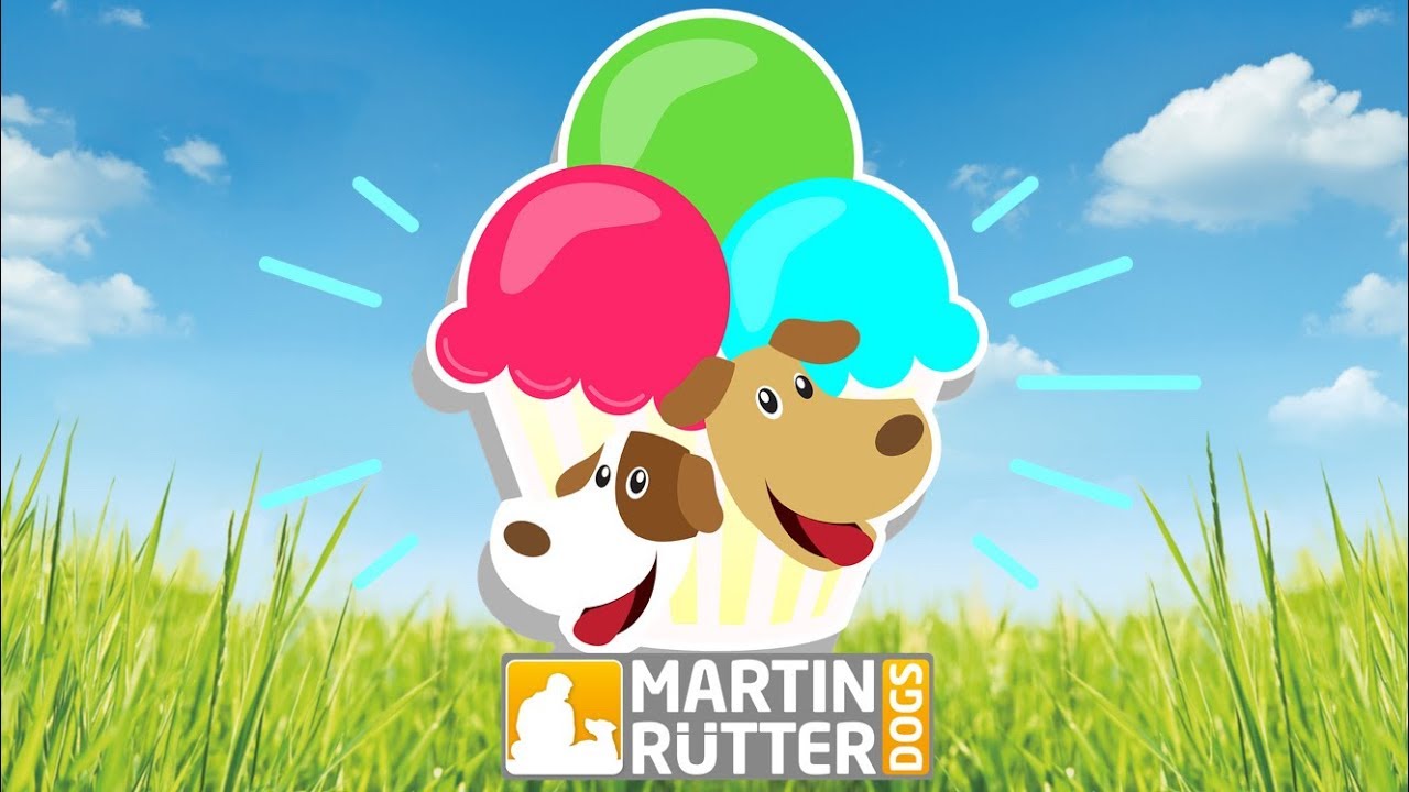 DOGS Hunde-Eis Rezepte