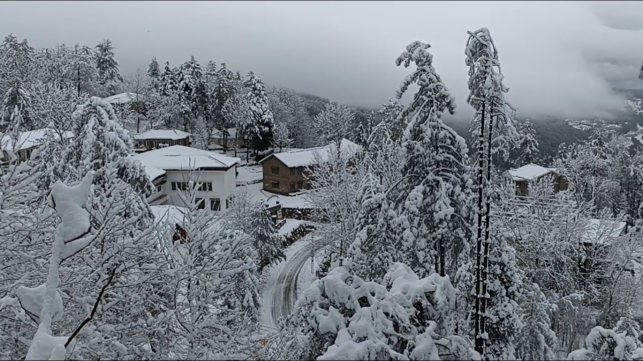 Murree Snowfall Incident 5 Jan 2022 Heaviest Snowfall In Murree Pakistan Record Breaking Snowfall