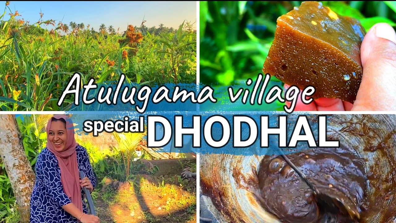 Srilankan Best Dhodhal recipe in tamil / Atulugama Village / Naveena's Tiny Tips / kalu dhodhal