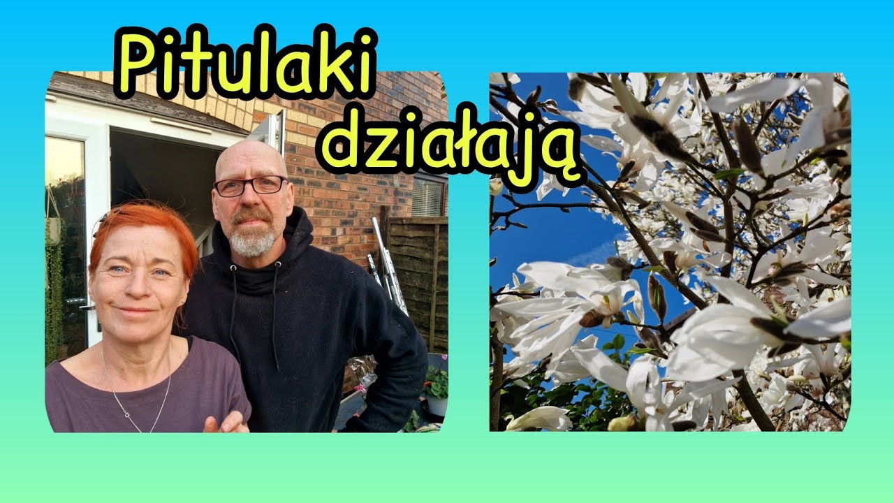 BIEDNY SENIOR | WIOSNA NA PLANIE | OGARNIAMY PITULOWO