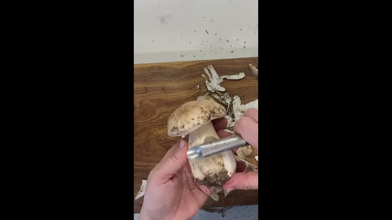 C&oacute;mo limpiar setas, hongos o boletus en 1 minuto