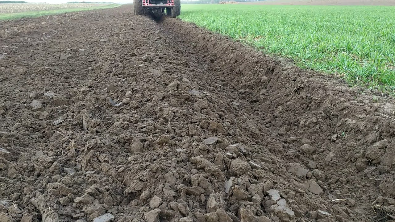 Ciężka orka pod ziemniaki 🚜2021 ale FARMTRAC idzie jak strzała