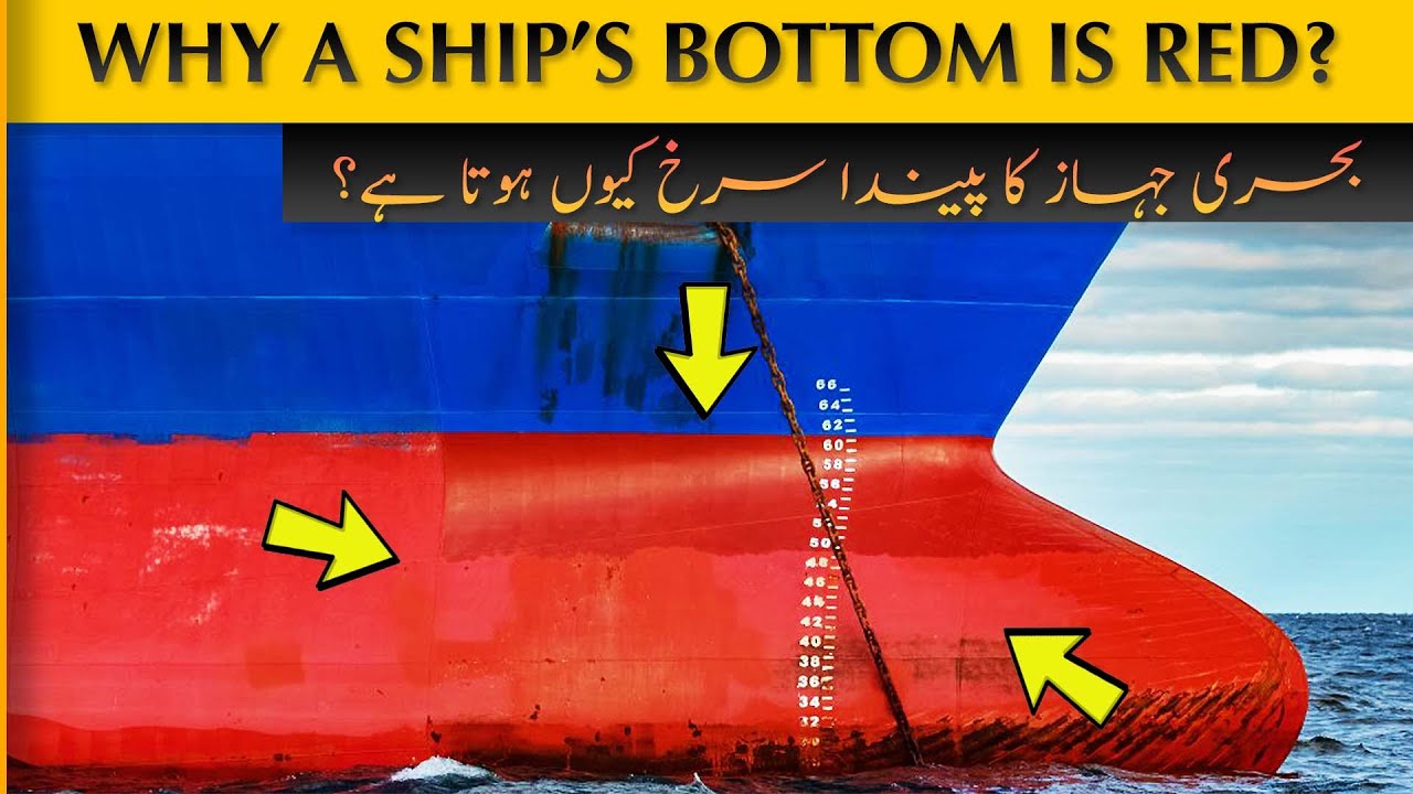 Why BOTTOM of a SHIP is RED?