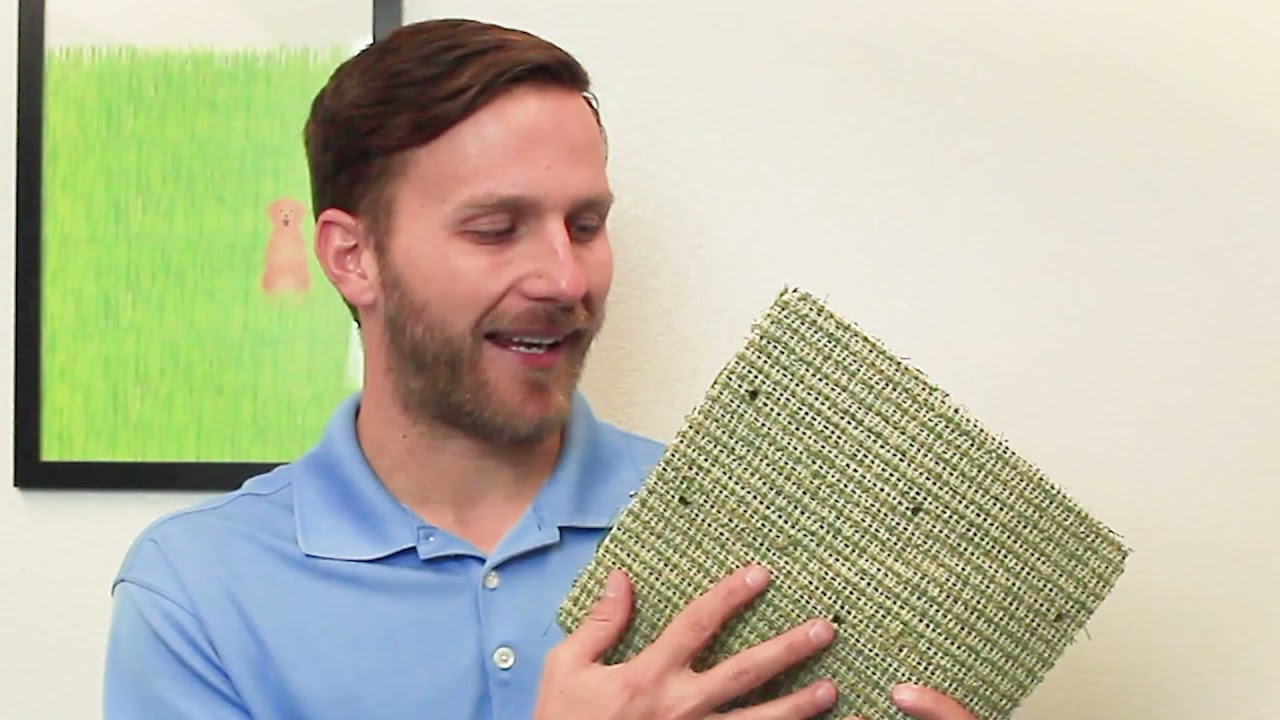 Artificial Grass Cost - How Much Does Turf Cost? // IDEAL TURF
