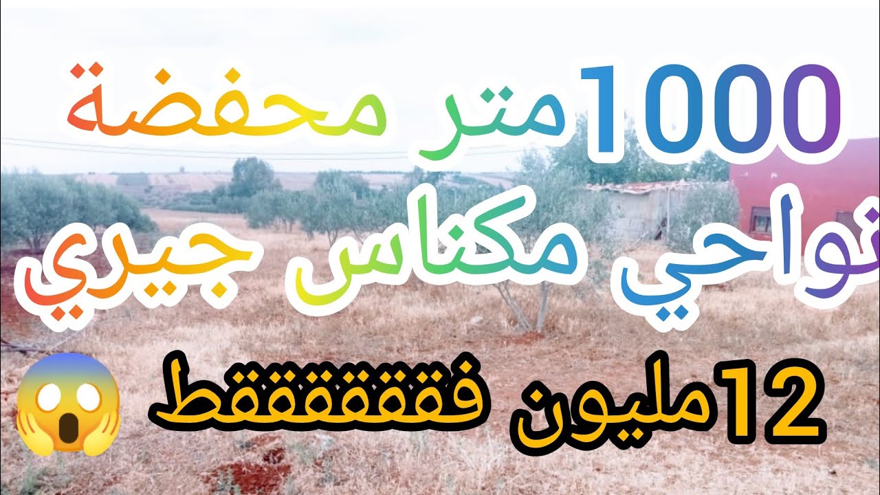 أرض تيتر محفضة مغروسة بالزيتون مساحتها 1000متر نواحي مكناس جيري 12مليون فققققققط 😱