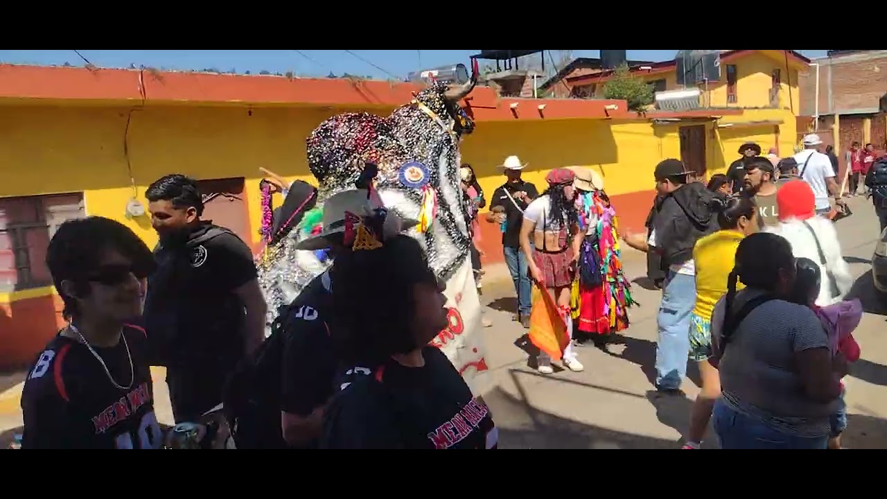 Torito de carnaval de la col.ibarra Pátzcuaro Mich.