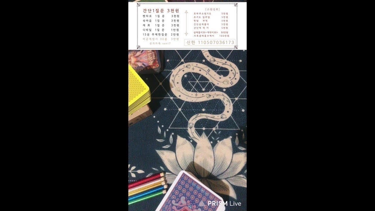사니타로🔮 #연애운 #금전운 #재회운 #이직운 #신타로 #사주 #운세