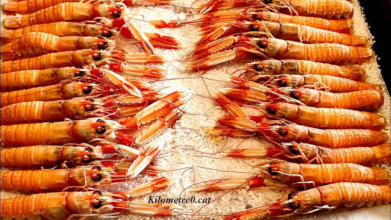 Cigalas de Blanes a la sal / Recetas fáciles