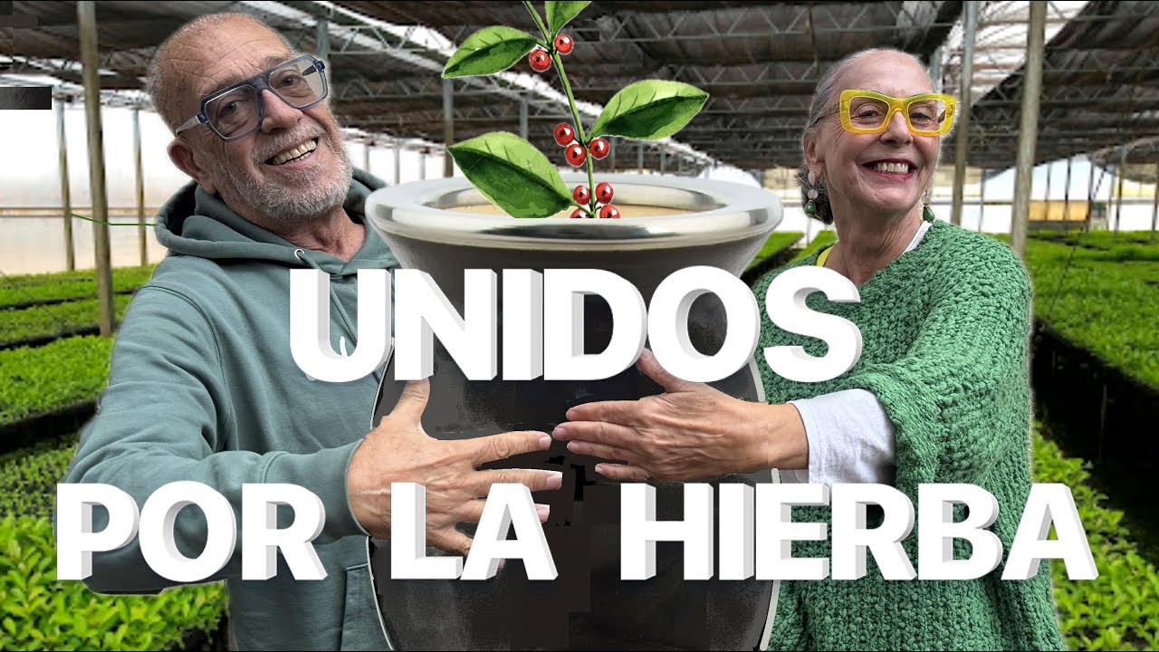 NADA PUEDE CON EL PODER DE ESA LA HIERBA, UN PAIS UNIDO POR EL MATE #312