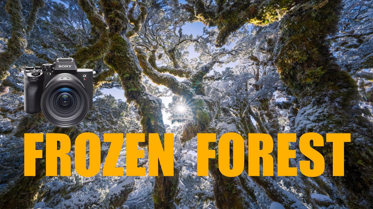New Zealand Winter Landscape Photography | Tips For Snow 