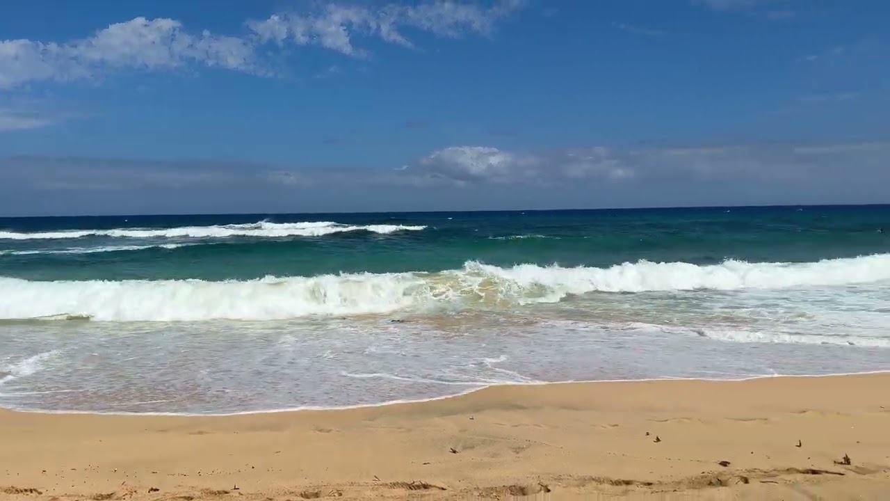 현지인이 사랑하는 하와이 최고의 바다 | 샌디비치 The Wild Beauty of Sandy Beach, Oahu ハワイで最も美しいビーチ、サンディビーチ