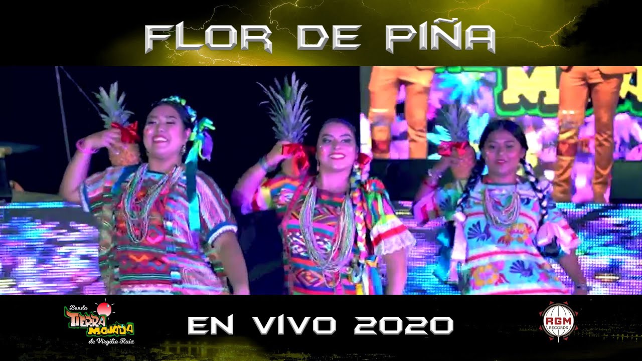 Flor de Piña - Banda Tierra Mojada