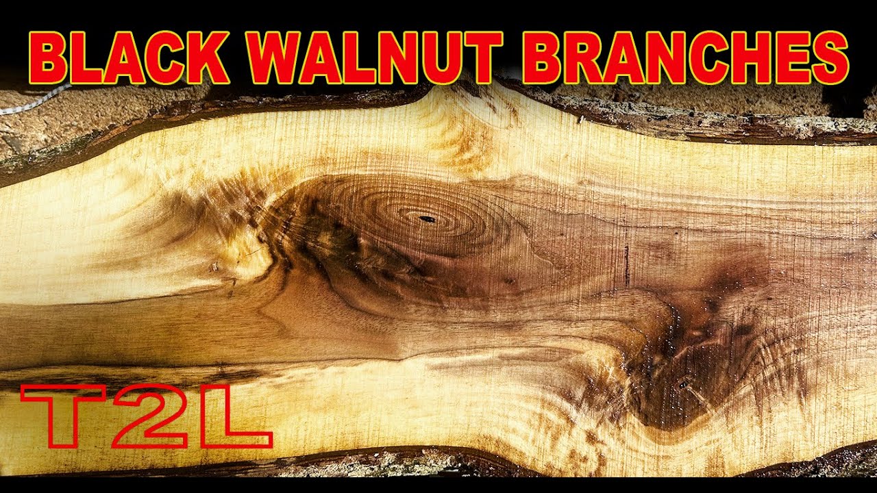 Ripping Black Walnut and White Oak Branches on my Frontier OS18 Sawmill