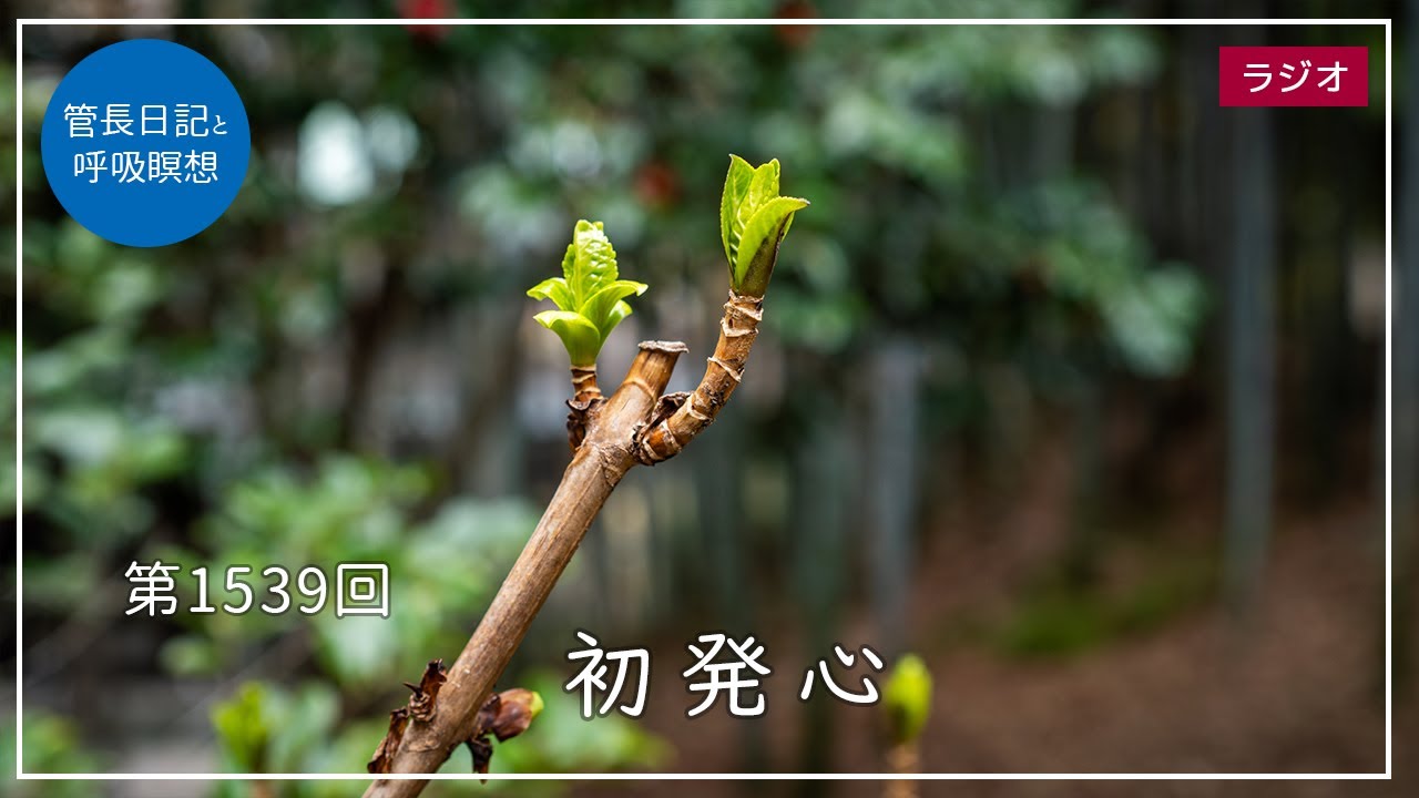 第1539回「初発心」2025/3/25【毎日の管長日記と呼吸瞑想】｜ 臨済宗円覚寺派管長 横田南嶺老師