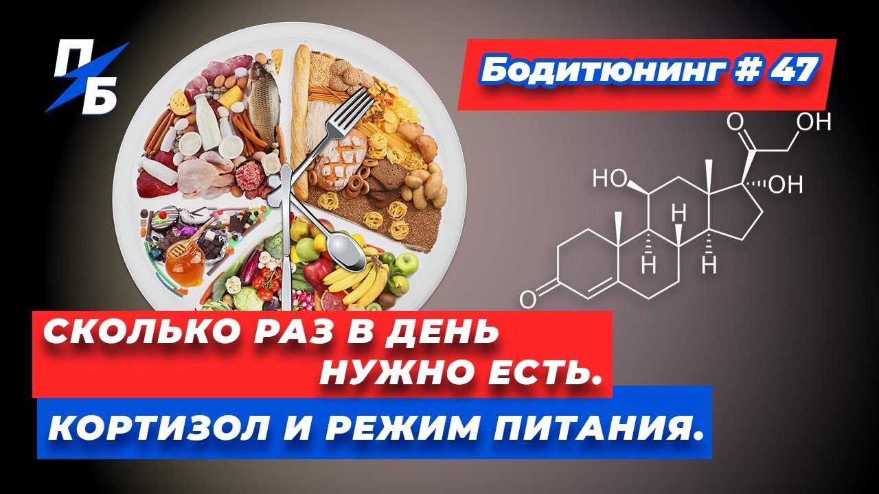 Сколько раз в день нужно есть. Кортизол и режим питания. Бодитюнинг #47