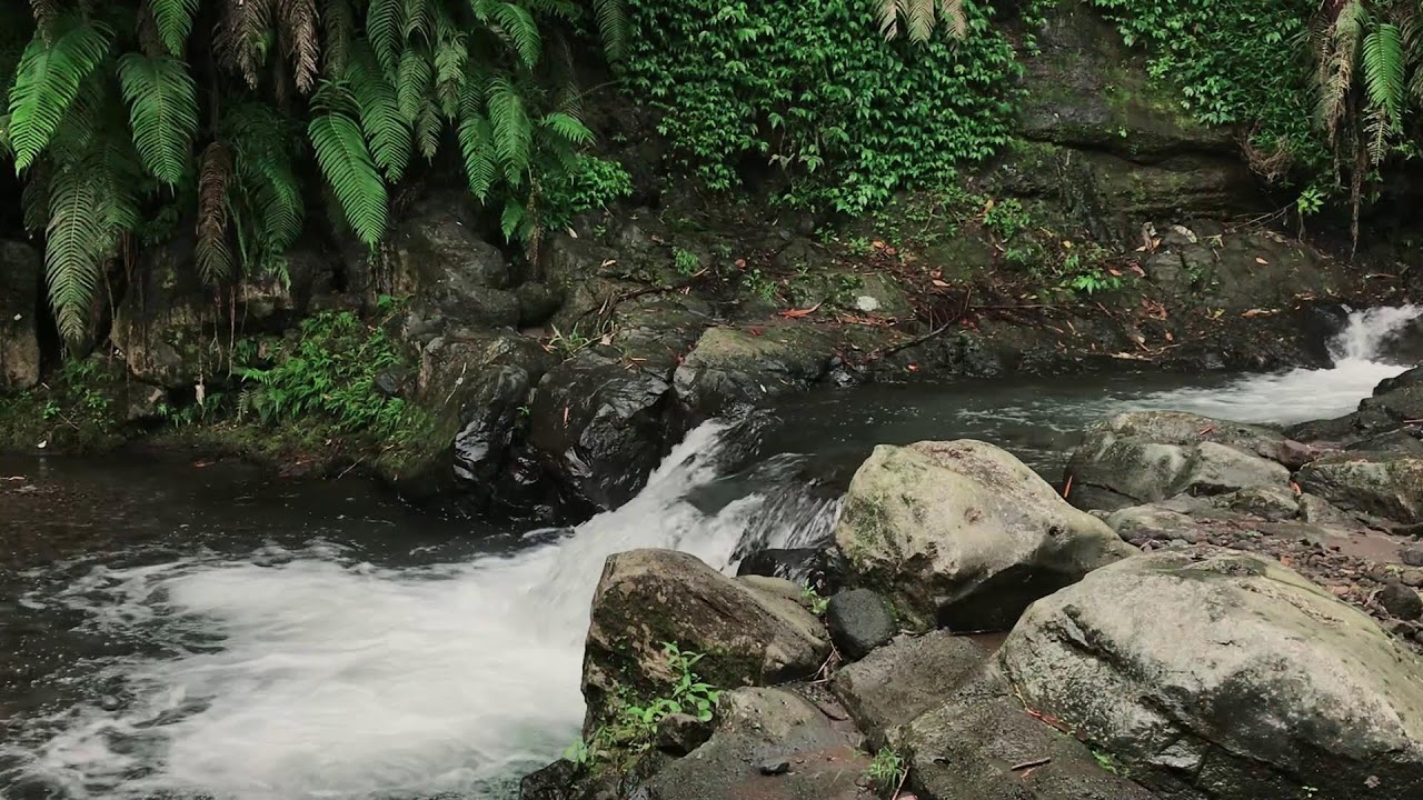 Flowing Water Sounds for Anxiety Relief, Tinnitus Relief, Focus
