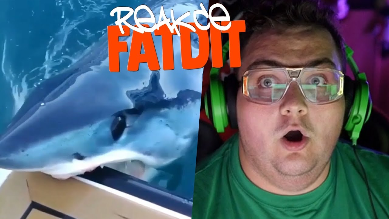 ŽRALOK SE MU ZAKOUSL DO LODI