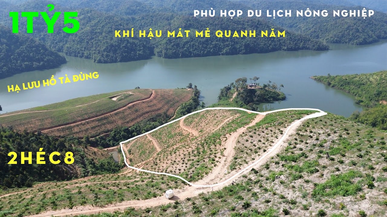 Bán 2hec8 Đất Vườn Cà Phê,View Hồ Đẹp ở Hạ Lưu Tà Đùng,Khí Hậ Mát Mẻ,Phù Hợp Nghỉ Dưỡng,Giá 1 Tỷ 5