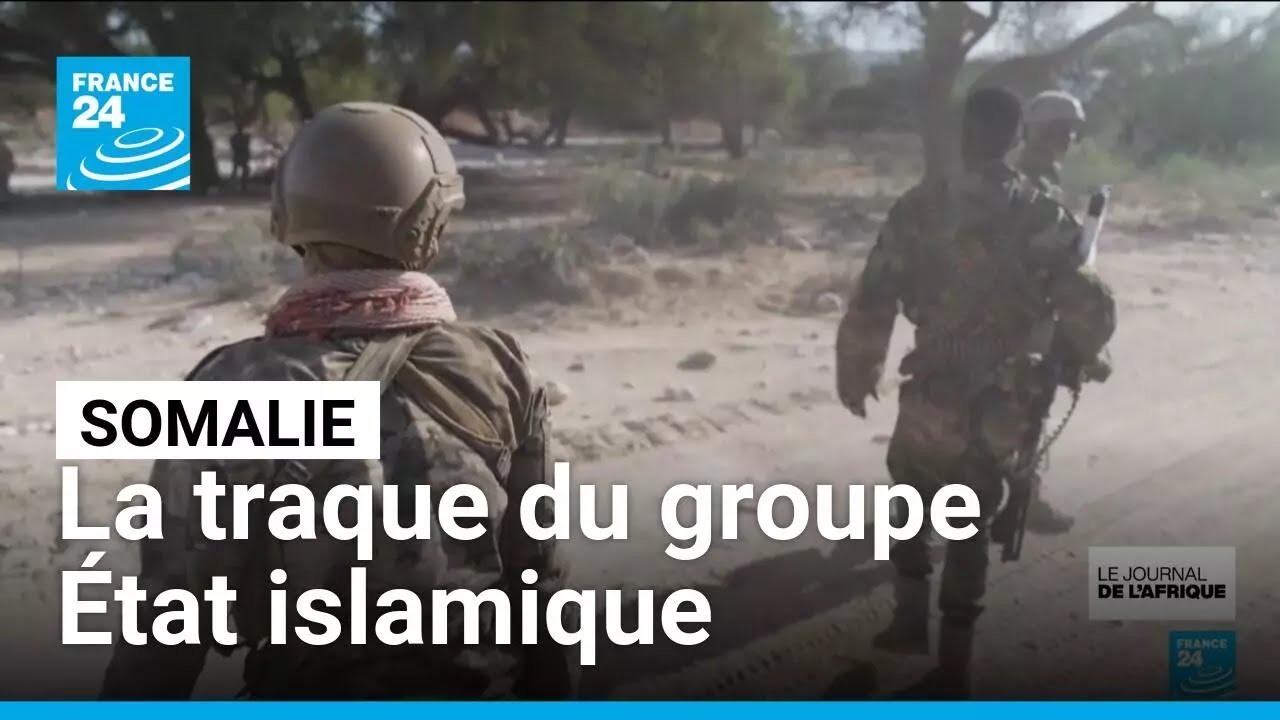 Somalie : la difficile traque du groupe &Eacute;tat islamique &bull; FRANCE 24