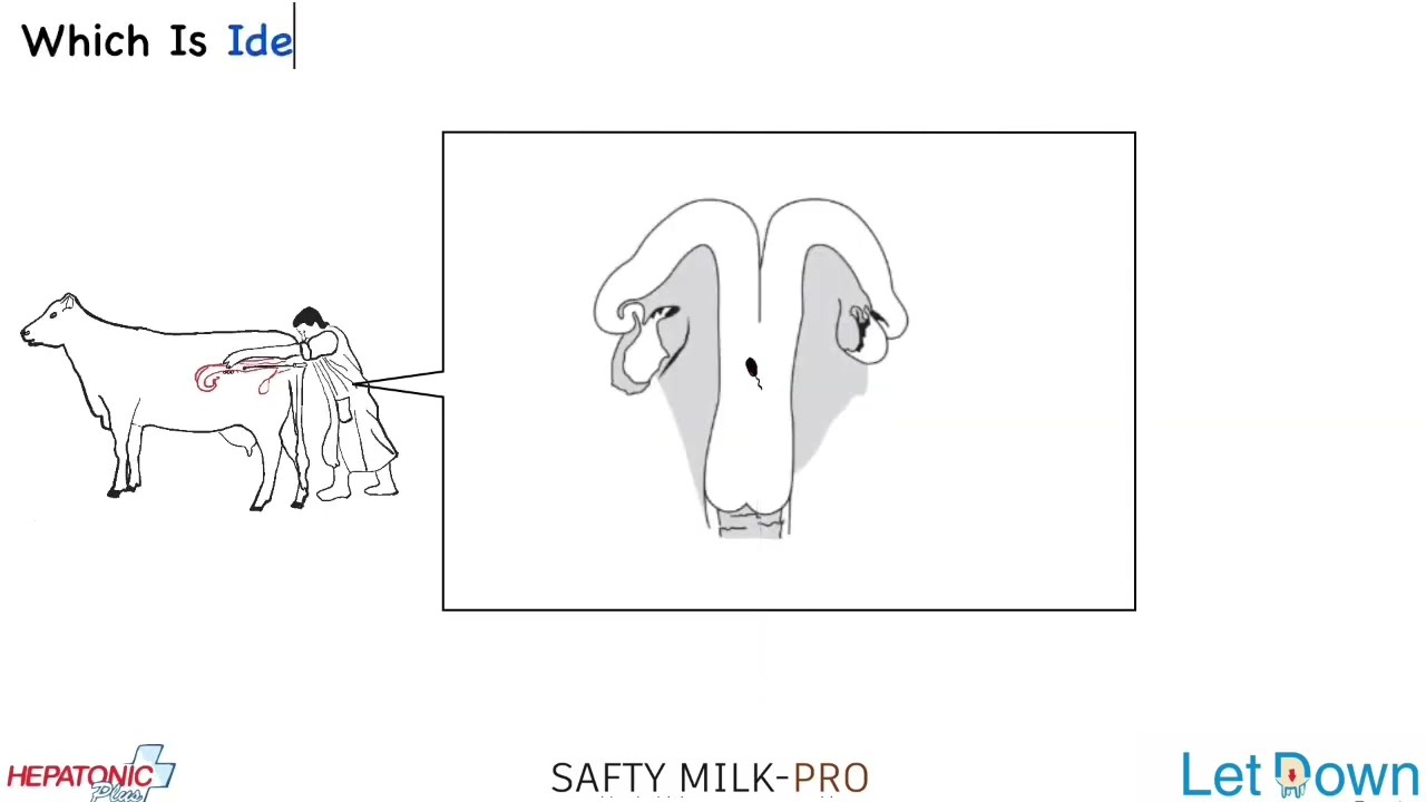 Repeat Breeding-Unavailablity of Free Grazing Area and Hormonal Imbalance in Our Animals