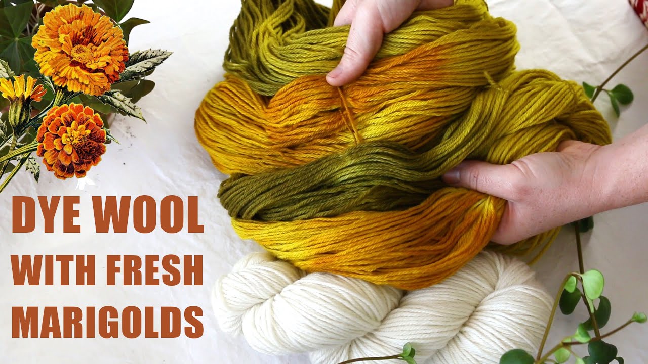Dye wool with Marigold Flowers | Last Minute Laura
