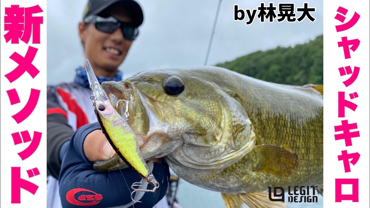 【バス釣り】【虫ルアー】根こそぎ釣れまくる！シャッドキャロで連発劇！【レジットデザイン】【ワイルドサイド】【ハイカット】【OSP】