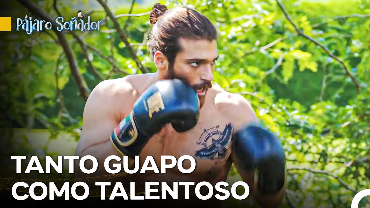 Can Alivió Su Estrés Practicando Boxeo - Pájaro Soñador