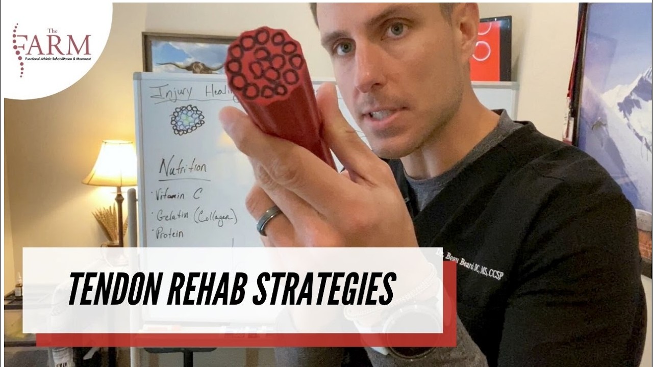 Tendon Rehab Strategies