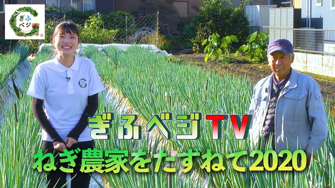 ねぎ農家をたずねて2020