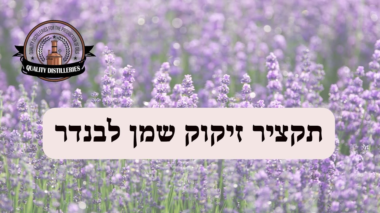 תקציר זיקוק שמן אתרי והידרוסול מצמח לבנדר. חובת צפייה !