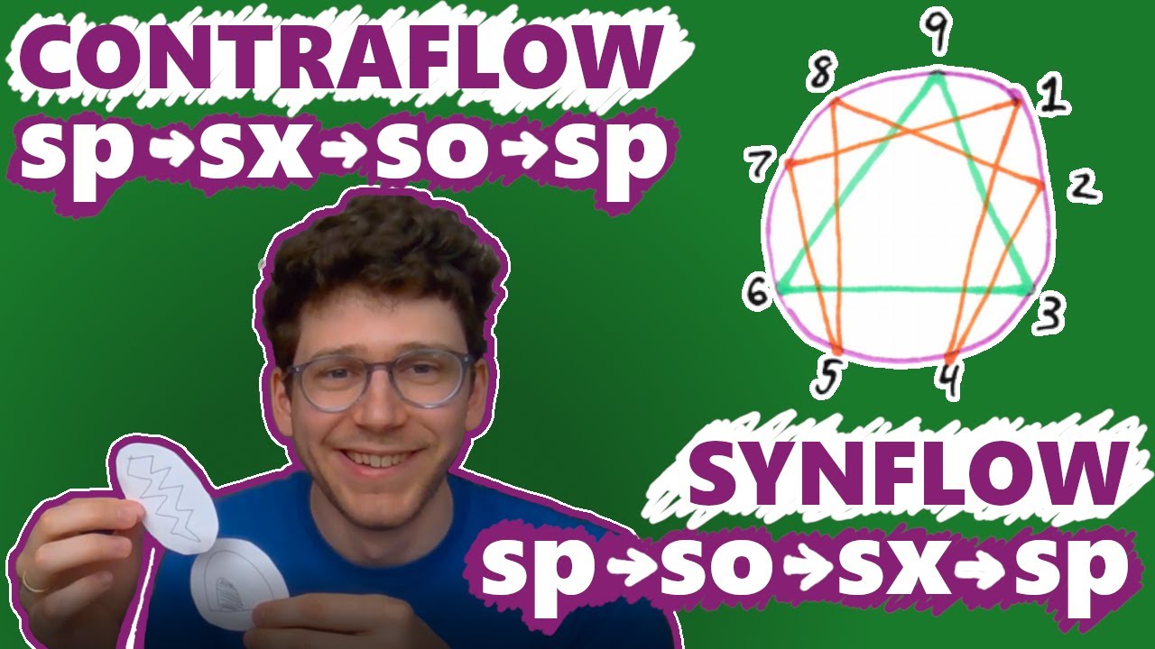 Contraflow and Synflow - Enneagram Instinct Stackings