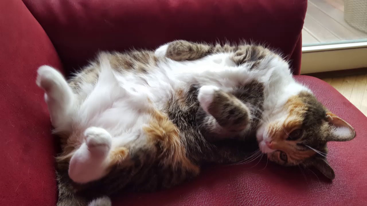 Grüße zum Wochenanfang