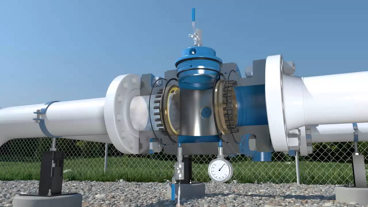 Pig Valve ARGUS