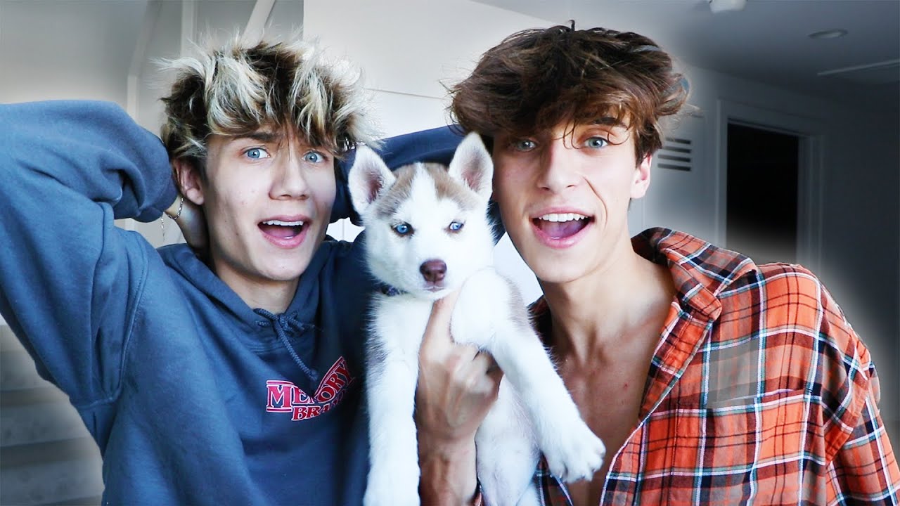 We Bought A Dog!