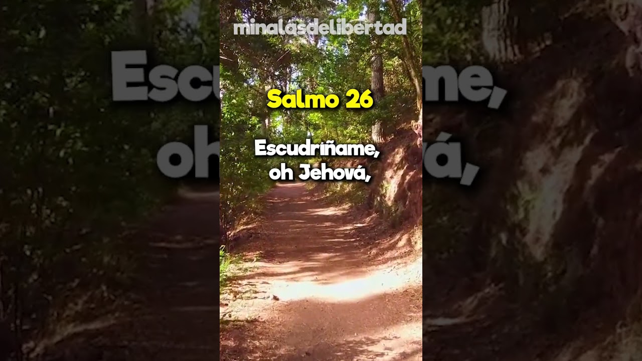 Salmo 26: Un canto de confianza y rectitud