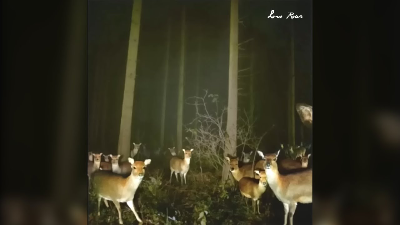 Low Roar - Aspirin