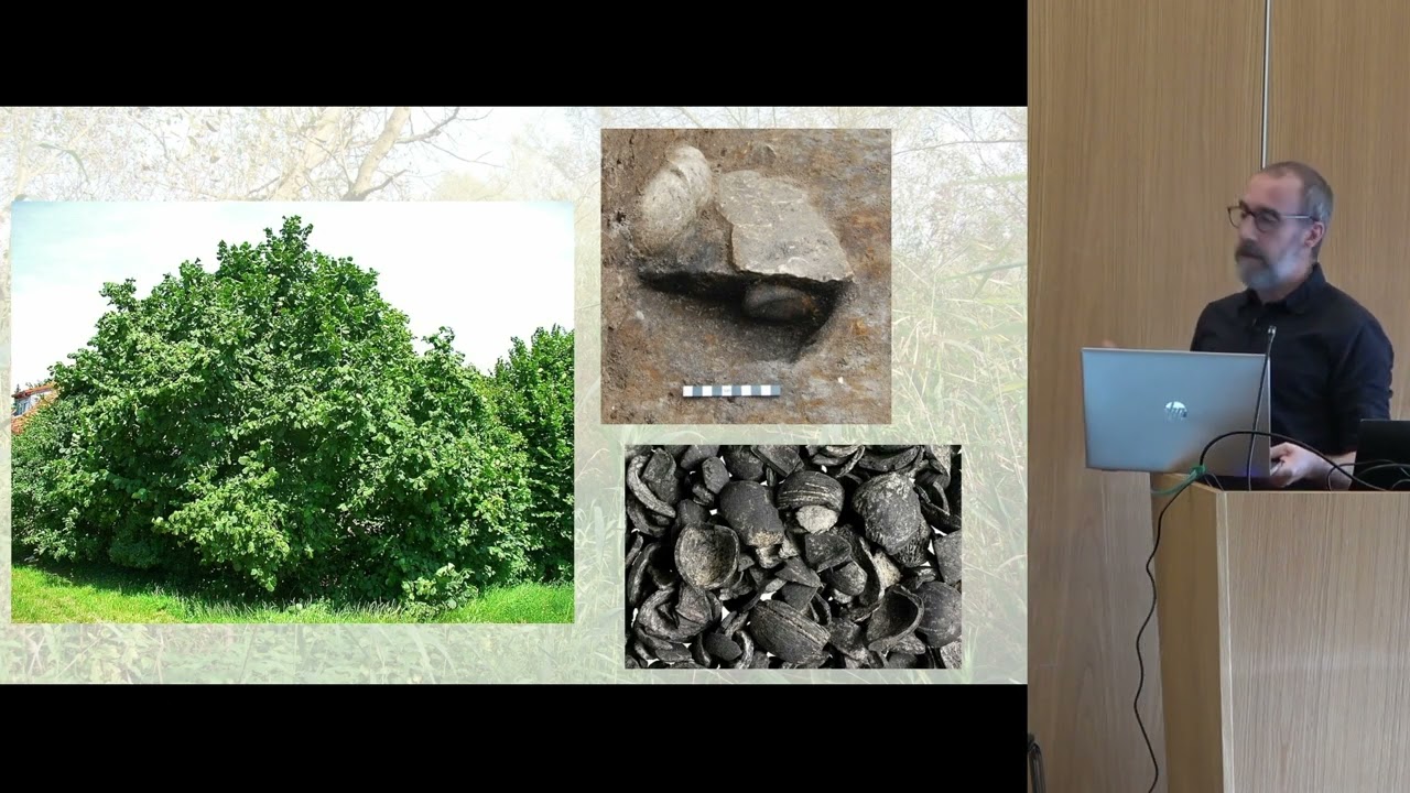 Powerful plants in the British Mesolithic