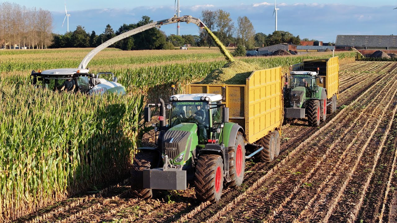 Mais Silage | Claas Jaguar 980 | 4x Fendt 936 | Fendt 826 | Loonbedrijf Neyt
