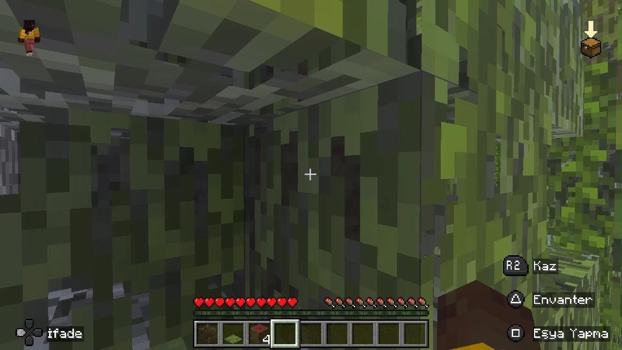 Minecraft