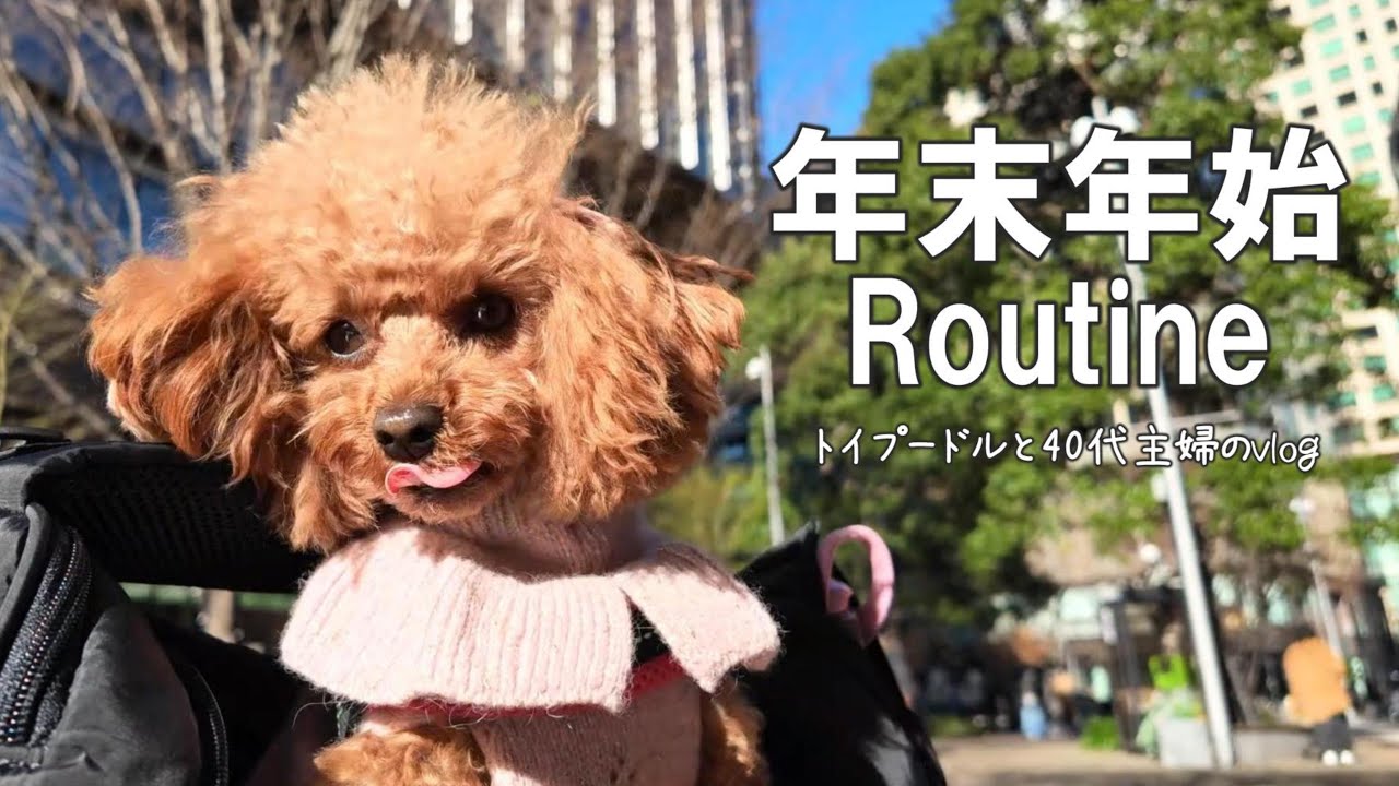 #28 【 年末年始 Vlog 】お節の支度と年越し蕎麦 / 仕事納めのお父ちゃんを迎えに行く / 初詣 / いつもと変わらない平凡な元旦