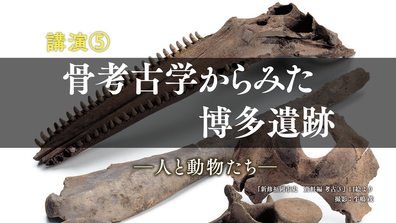 【福岡市博物館】第16回福岡市史講演会（5）「骨考古学からみた博多遺跡」富岡直人