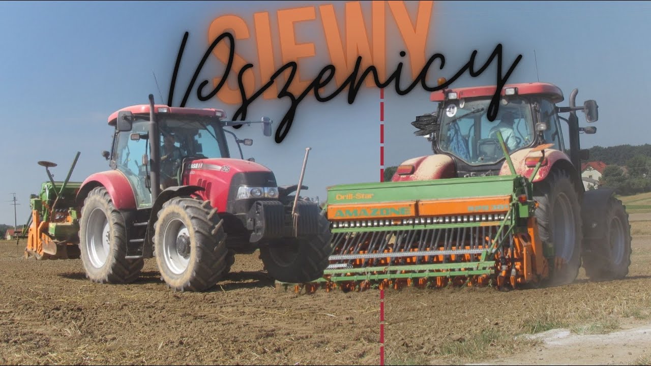 🚜 SIEW PSZENICY 🌾 CASE IH 125 + AMAZONE DRILL-STAR PRO 301 🚜👨‍🌾👨‍🌾