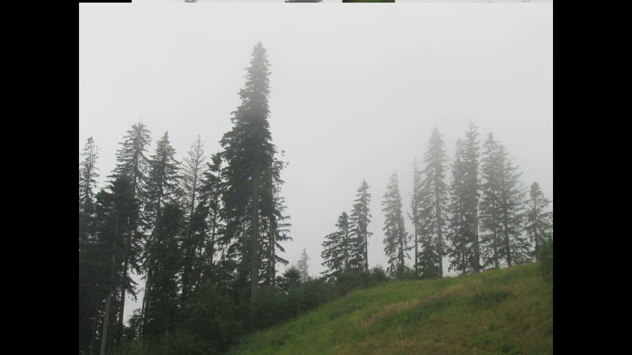 Foggy Bucegi Mountains - August 2022