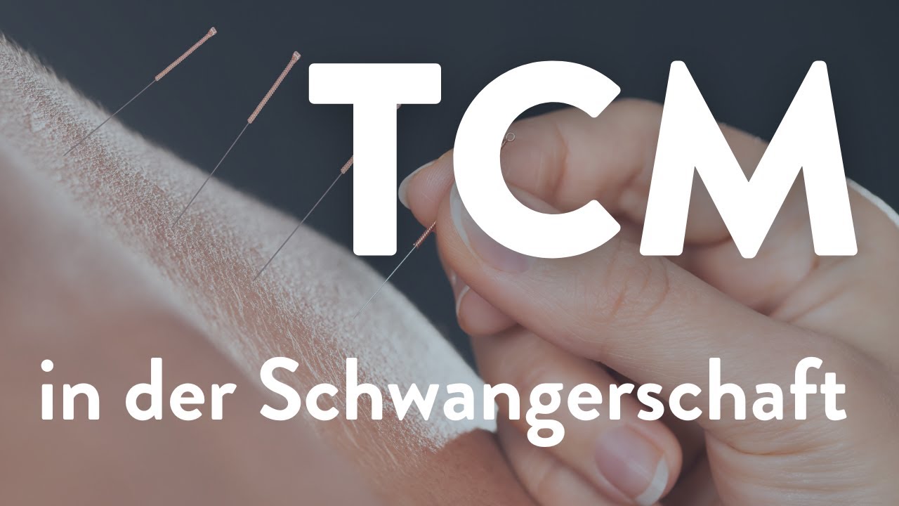 Von Übelkeit bis Erschöpfung - TCM-Impulse für Schwangerschaft & Stillzeit von Dr. Antonie Danz