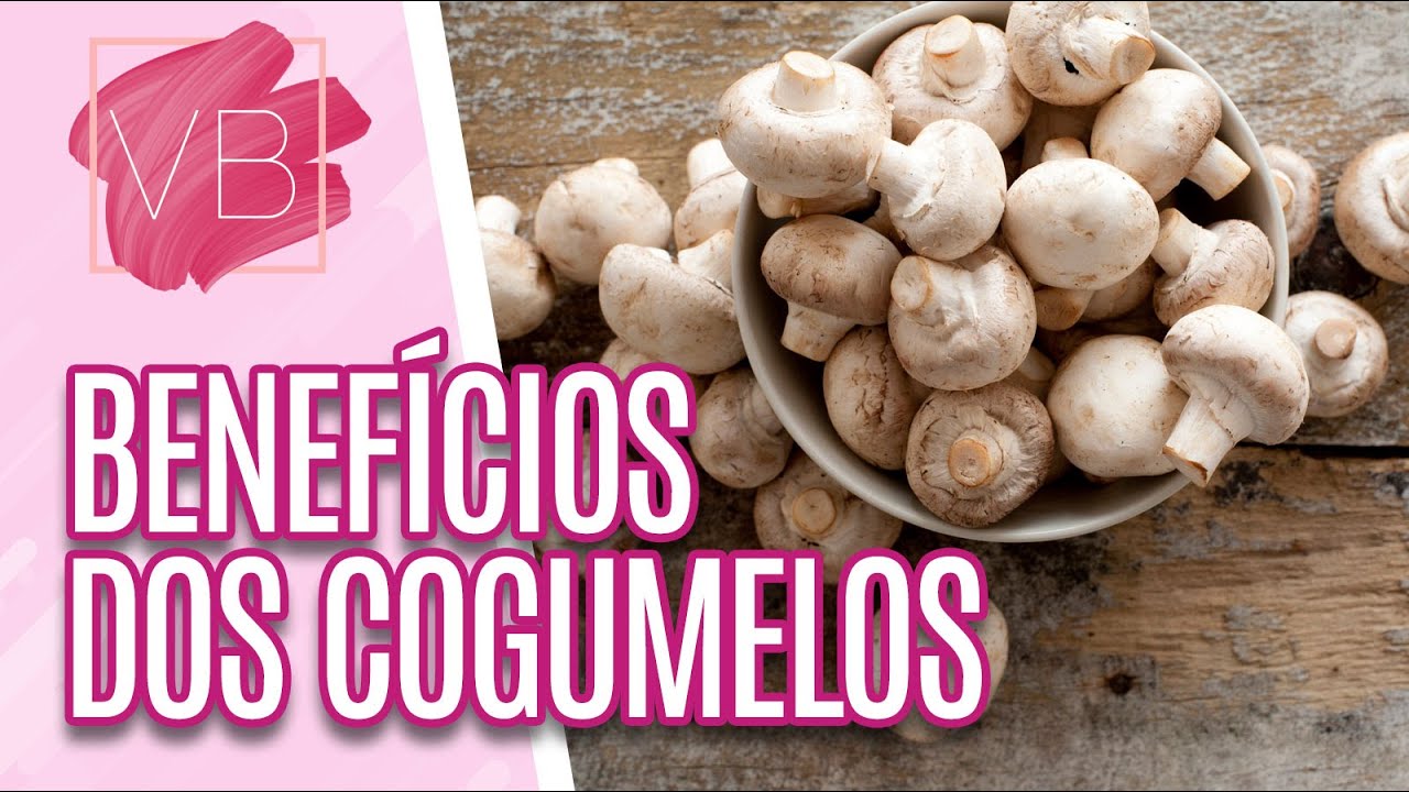 Conheça os benefícios dos cogumelos para a saúde - Você Bonita (30/08/2022)