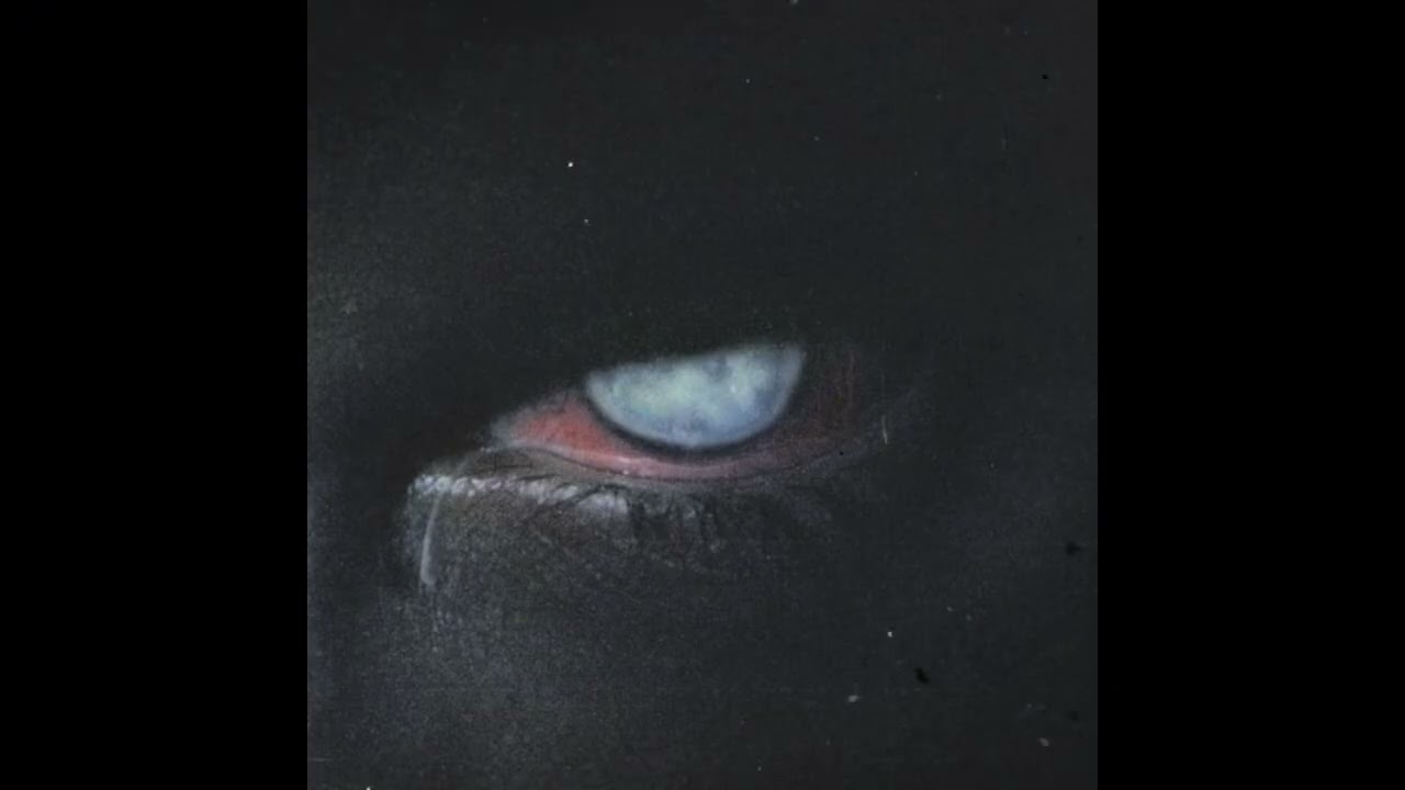 VINTAGE/DARK JAZZ SAMPLE PACK - 'Cracked Lens'